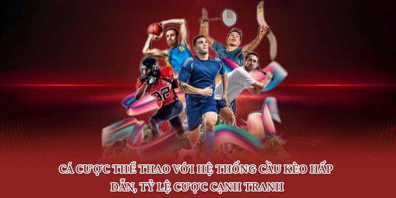 Cá cược thể thao với hệ thống cầu kèo hấp dẫn, tỷ lệ cược cạnh tranh